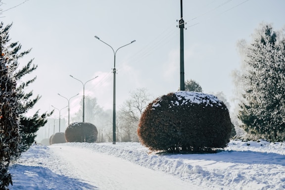 A snowy pathway cleared by a snow removal service.
