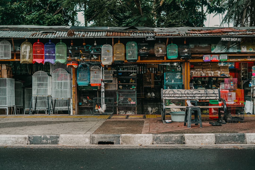 Temple photo spot Barito Pet Market Jakarta Barat