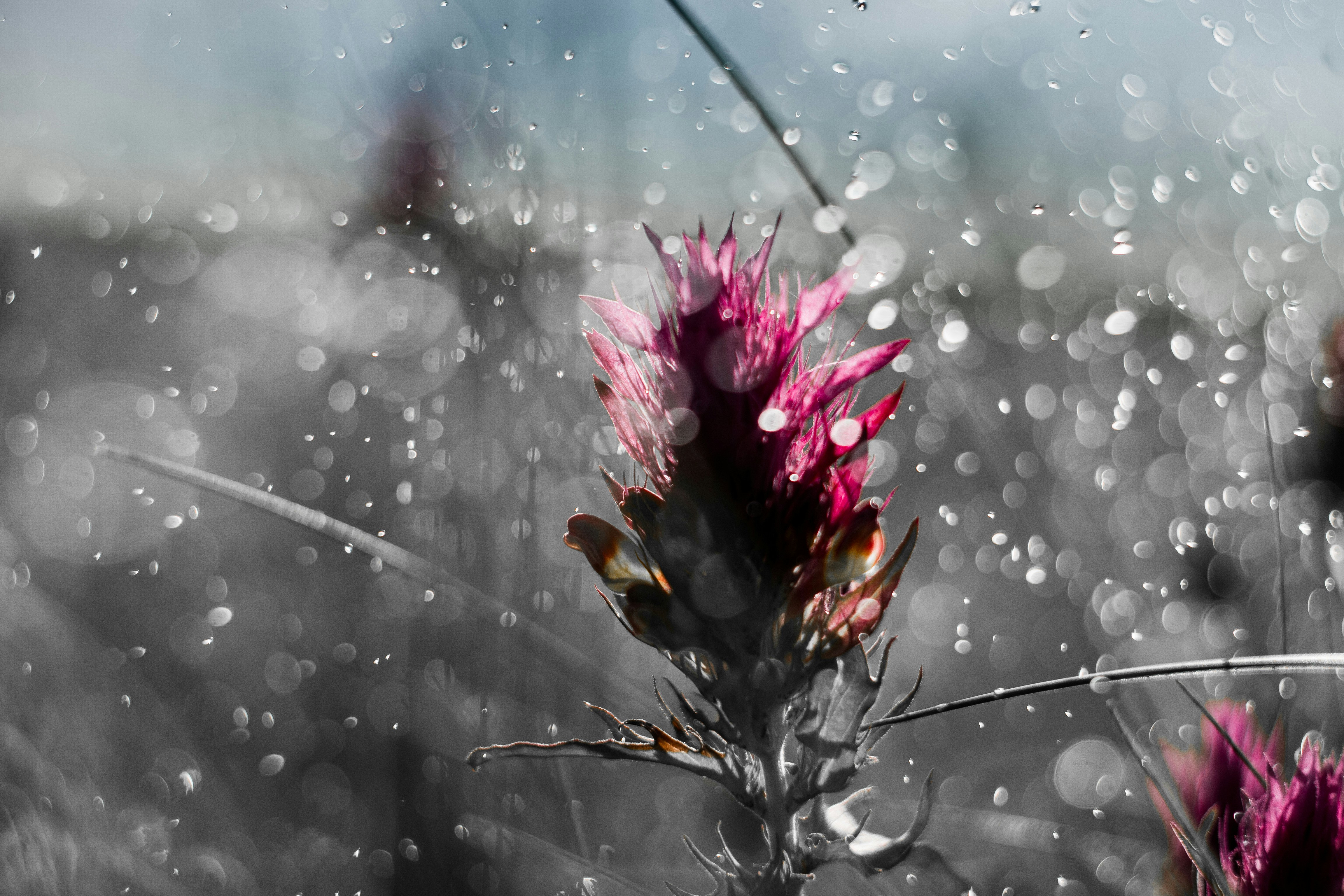 Photo by ppavliuk
