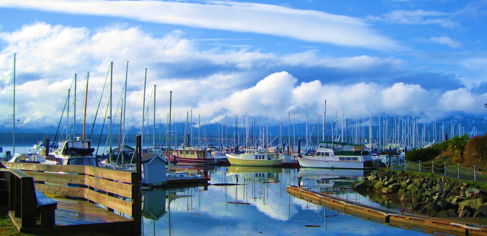 a group of boats docked