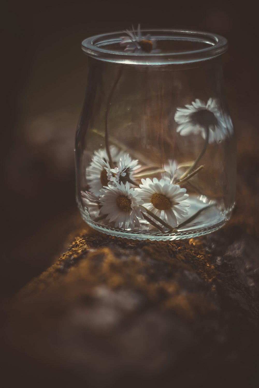 eine Glasvase mit Blumen