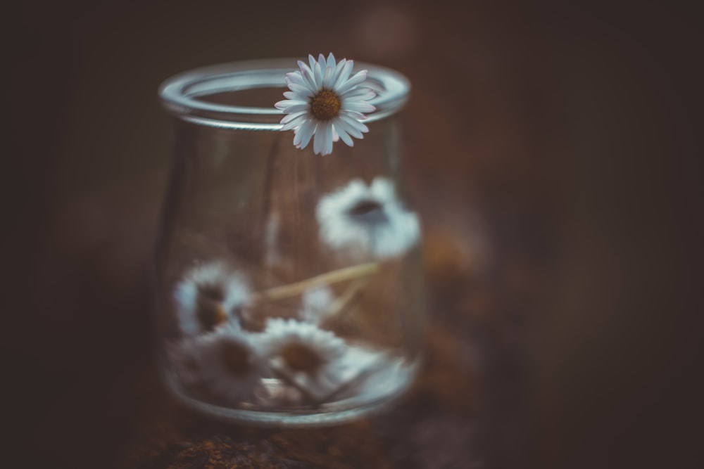 a glass with flowers in it