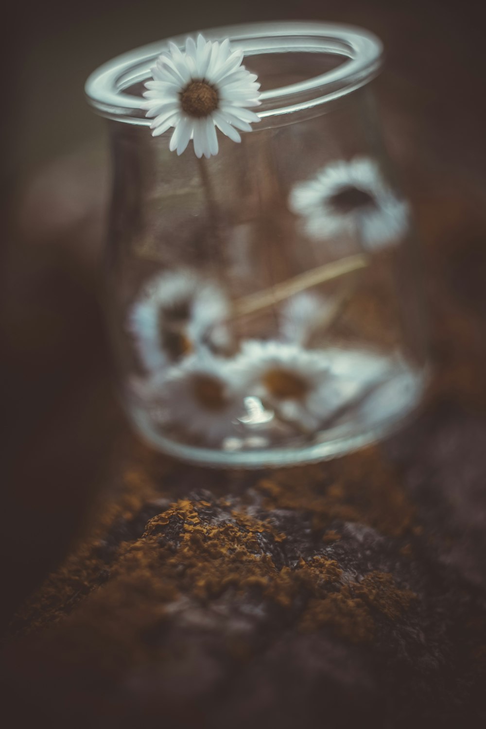 una ciotola di vetro con un fiore all'interno