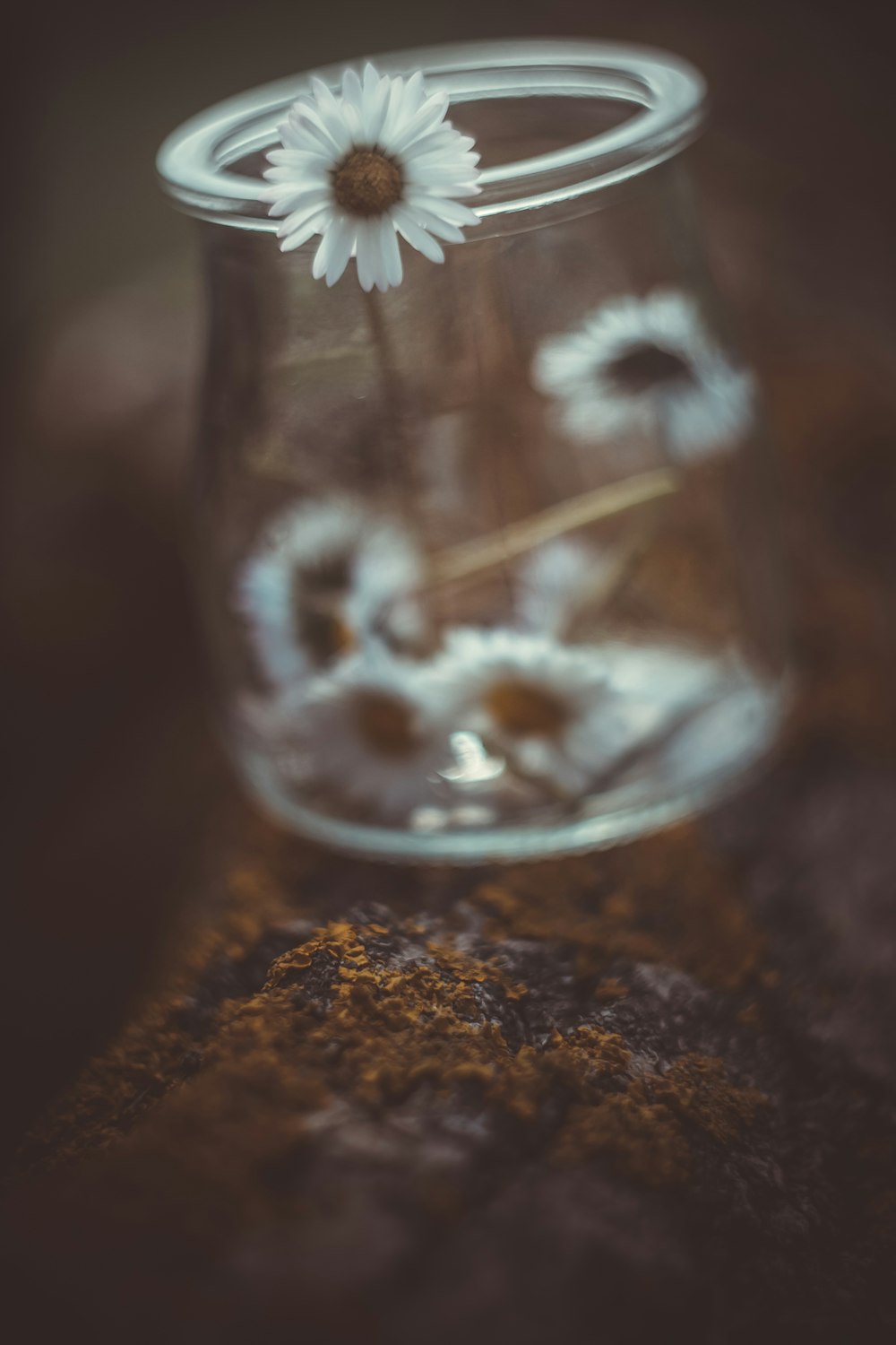 a glass bowl with a flower inside