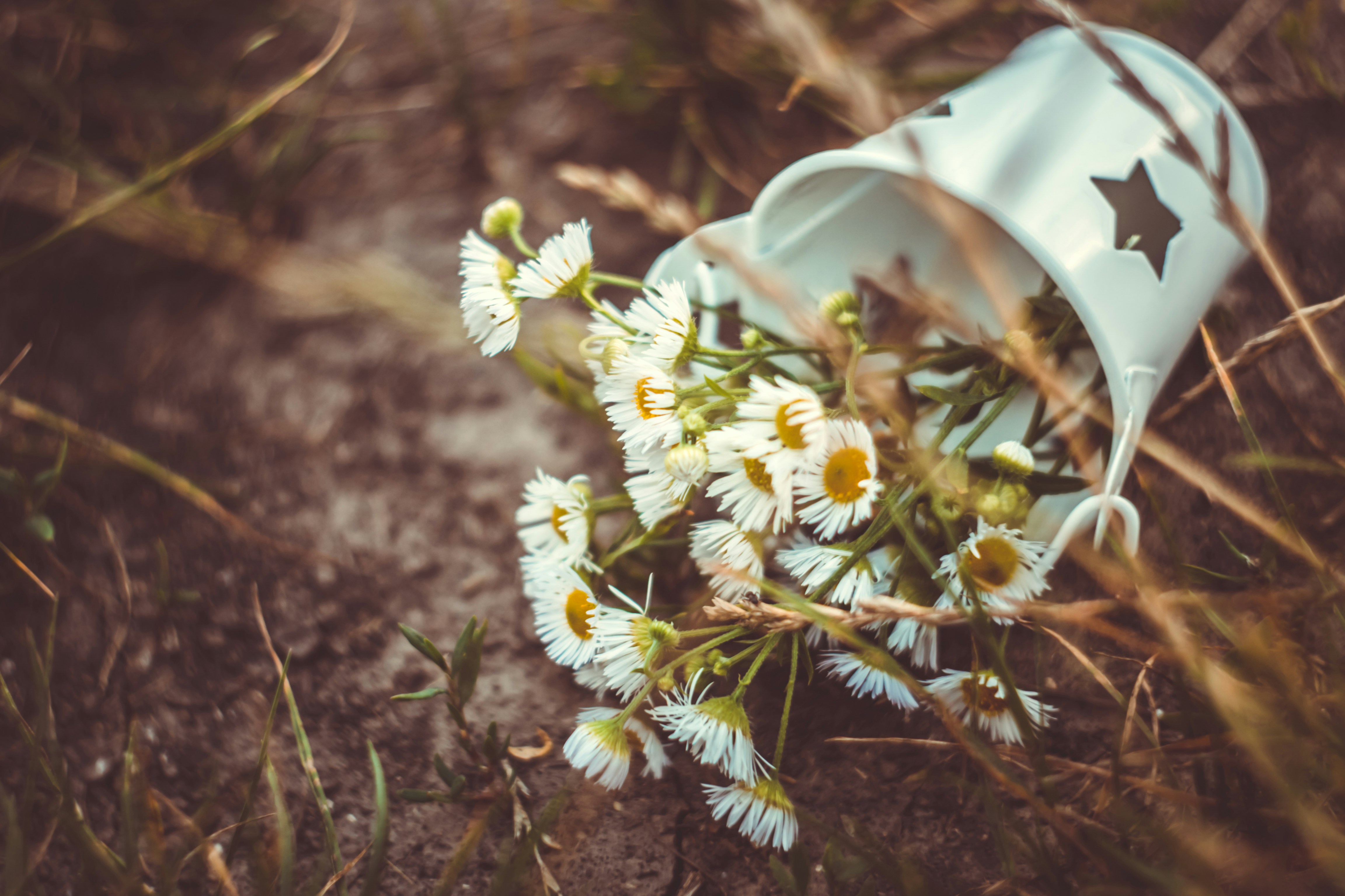 photo 1656697495222 2a93df67af08?crop=entropy&cs=tinysrgb&fit=max&fm=jpg&ixid=M3w1MjQ0NjR8MHwxfHNlYXJjaHwxNnx8Rm9vZCUyMHN0b3JhZ2V8ZW58MHwwfHx8MTc1MTQ2MDc3OHww&ixlib=rb 4.1