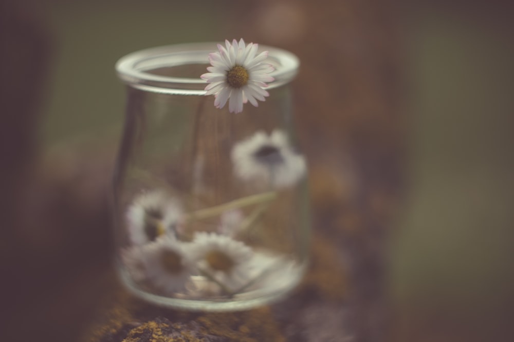 a glass vase with white flowers