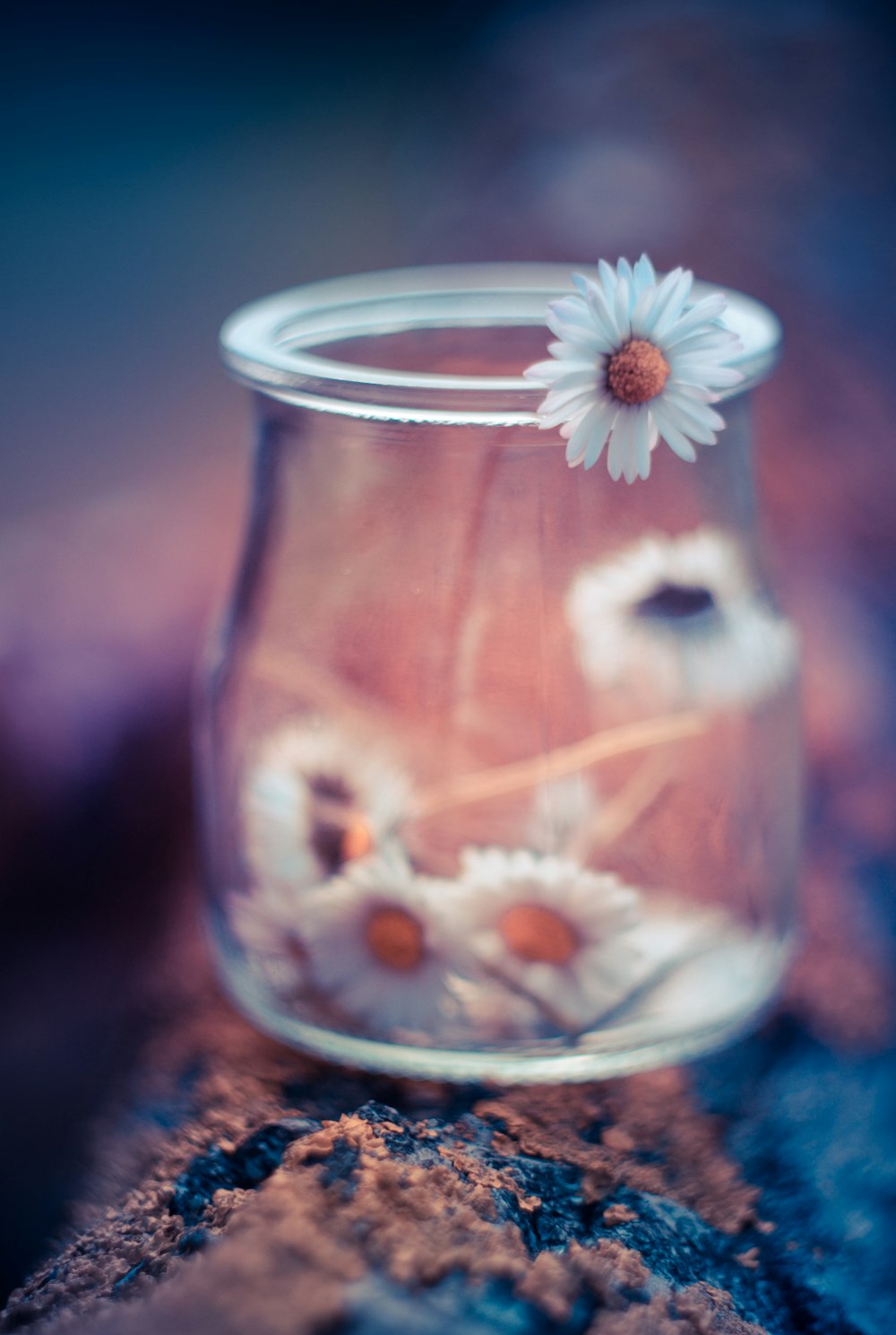 a glass with a flower in it