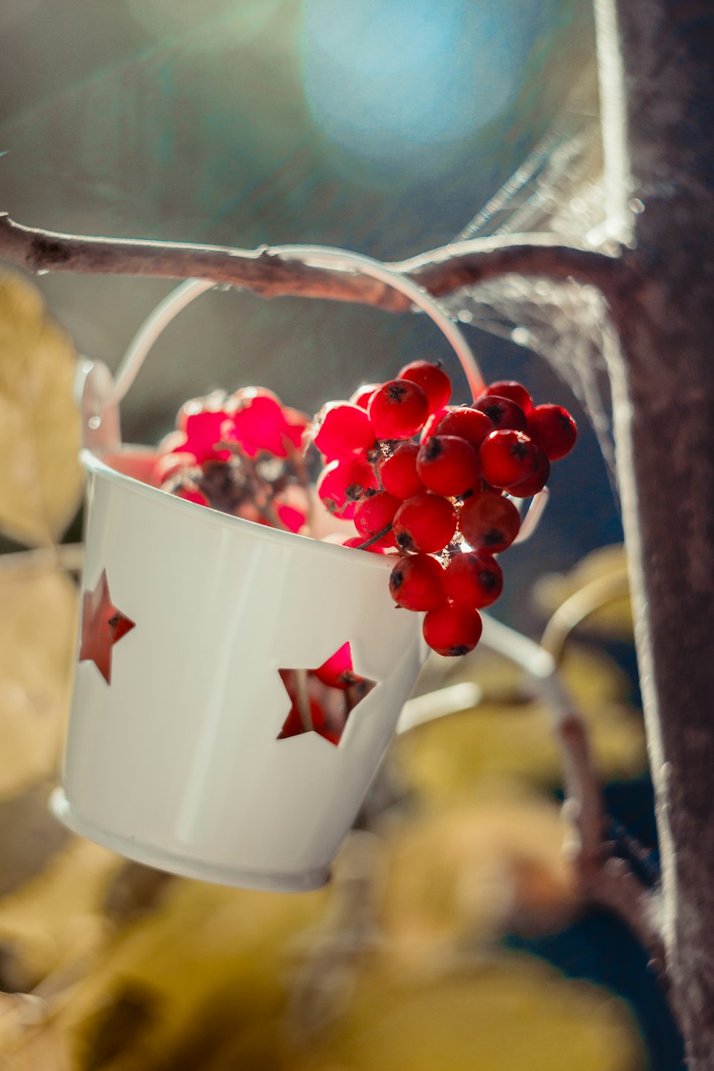a cup of red berries
