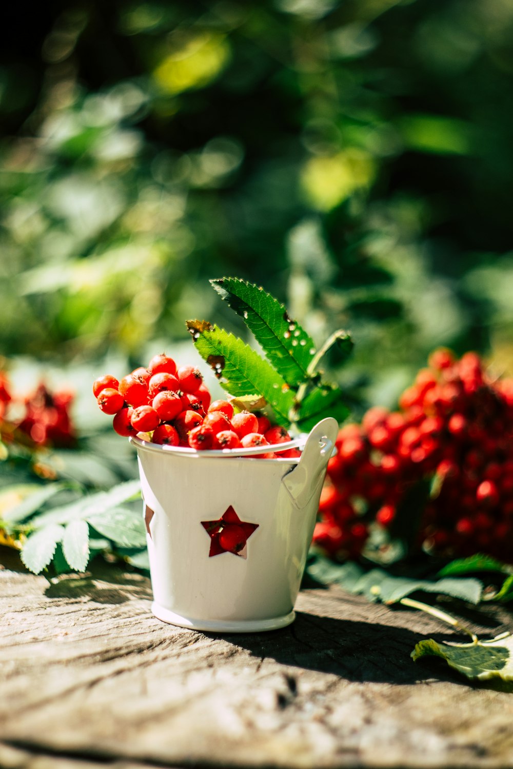 a cup of berries