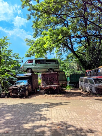 Several old and abandoned vehicles are stacked amidst a lush, green landscape with large, leafy trees. The sky is bright blue with a few clouds, and sunlight filters through the foliage, casting dappled shadows on the ground.