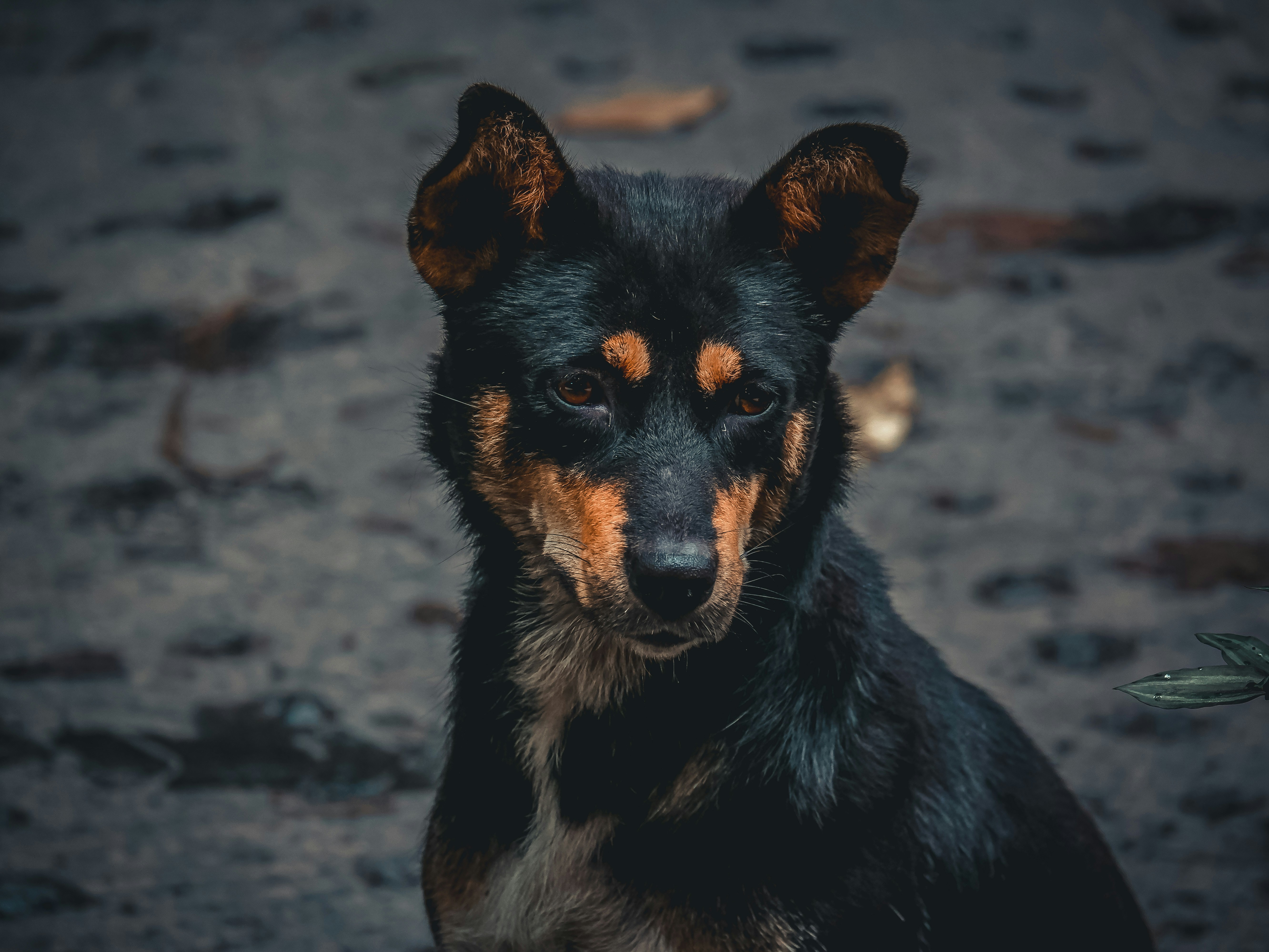 Photo by rakshityadav190