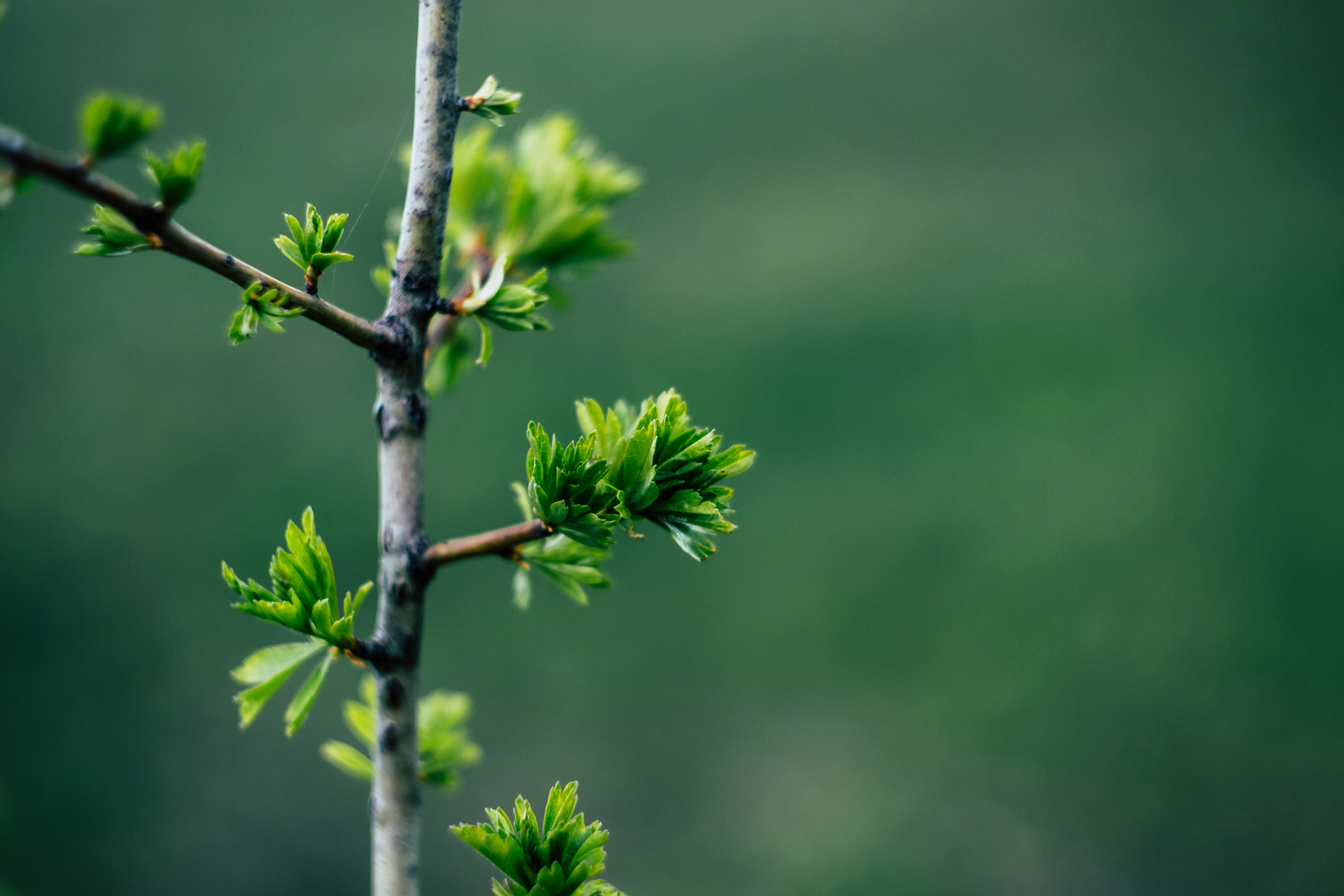 Photo by ppavliuk