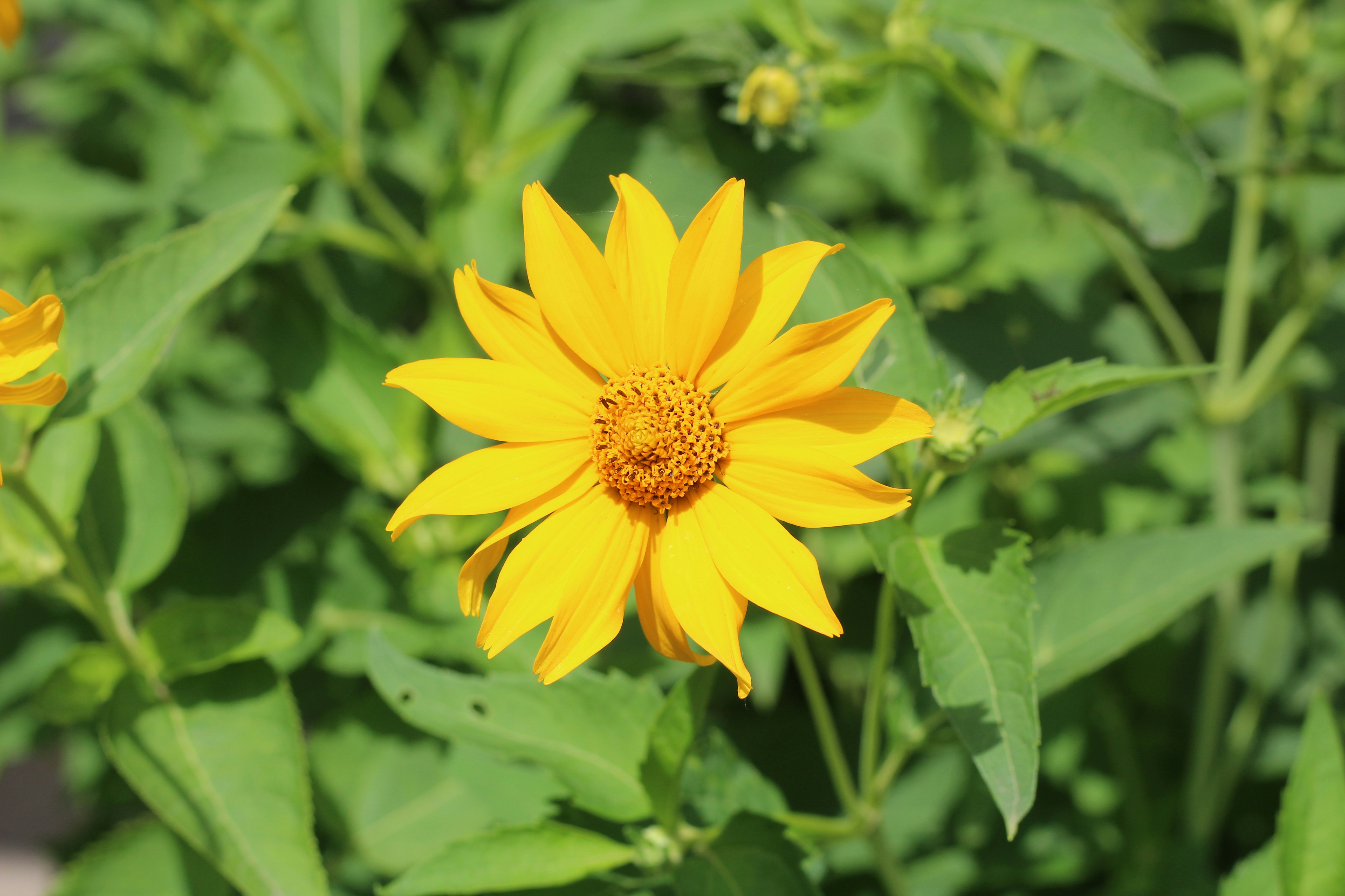 Photo by marina_yalanska