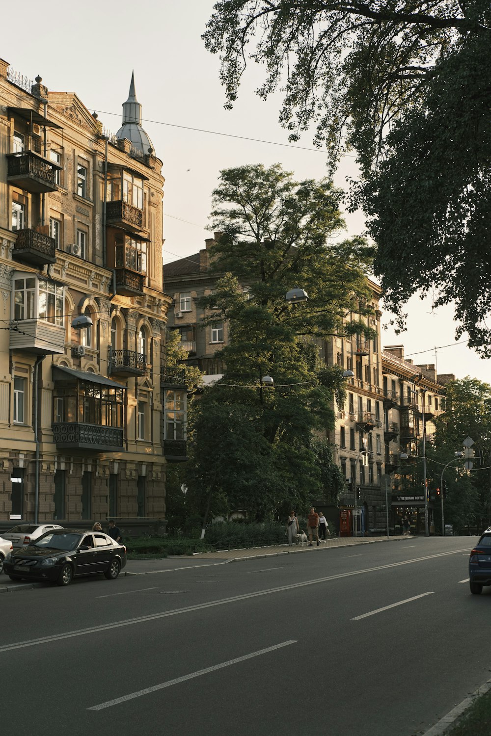 a street with cars and trees on the side