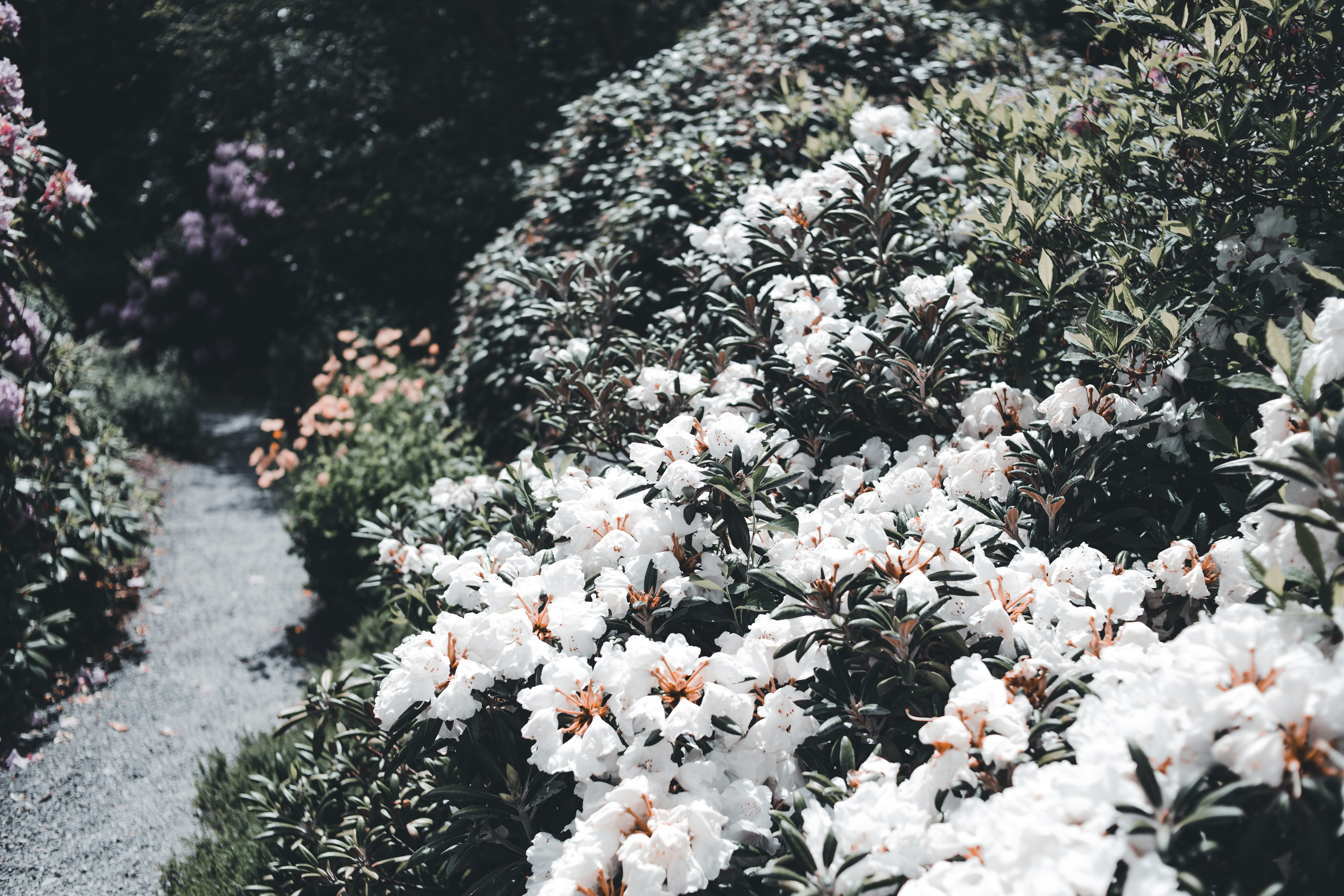 Photo by introspectivedsgn