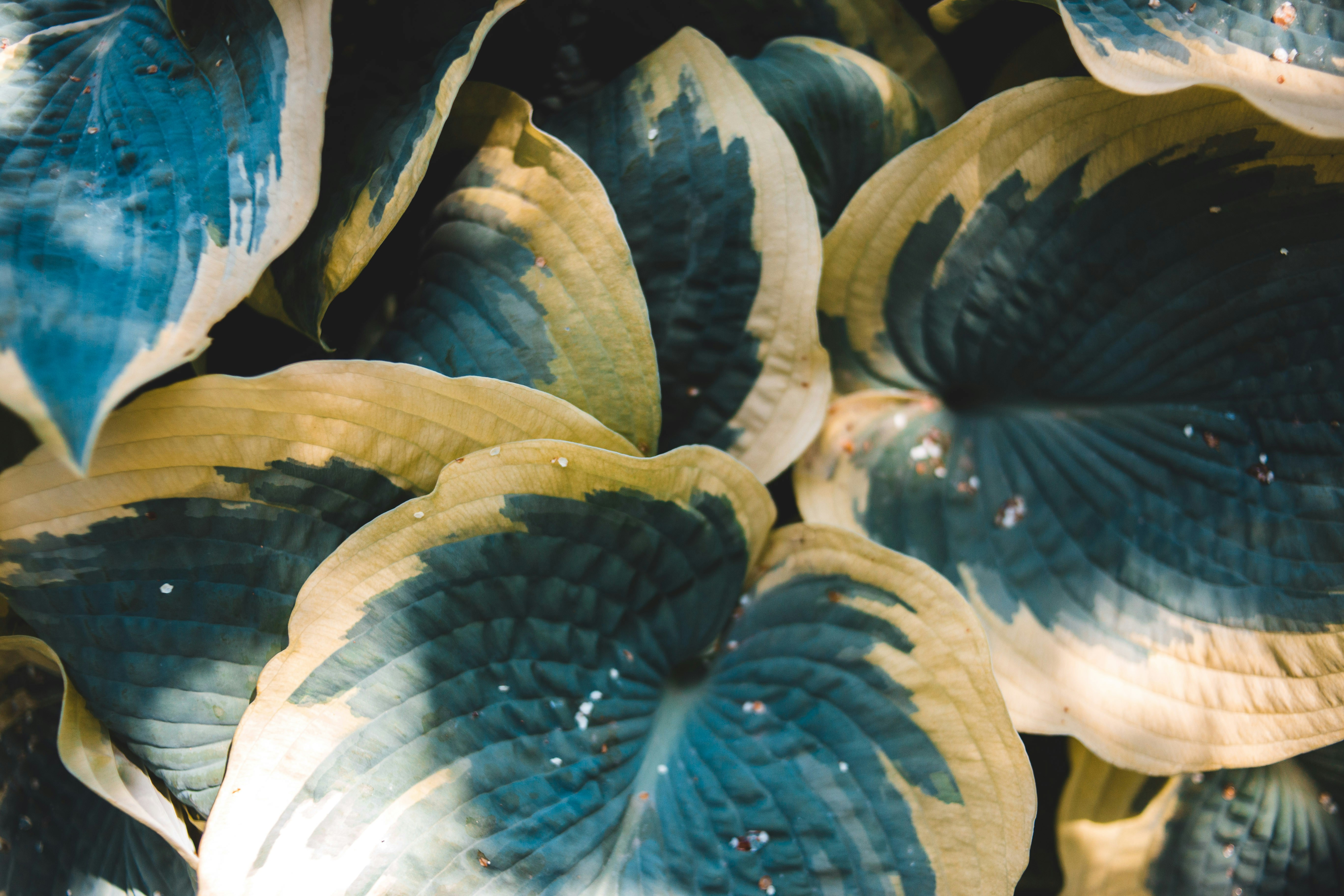 Photo by introspectivedsgn