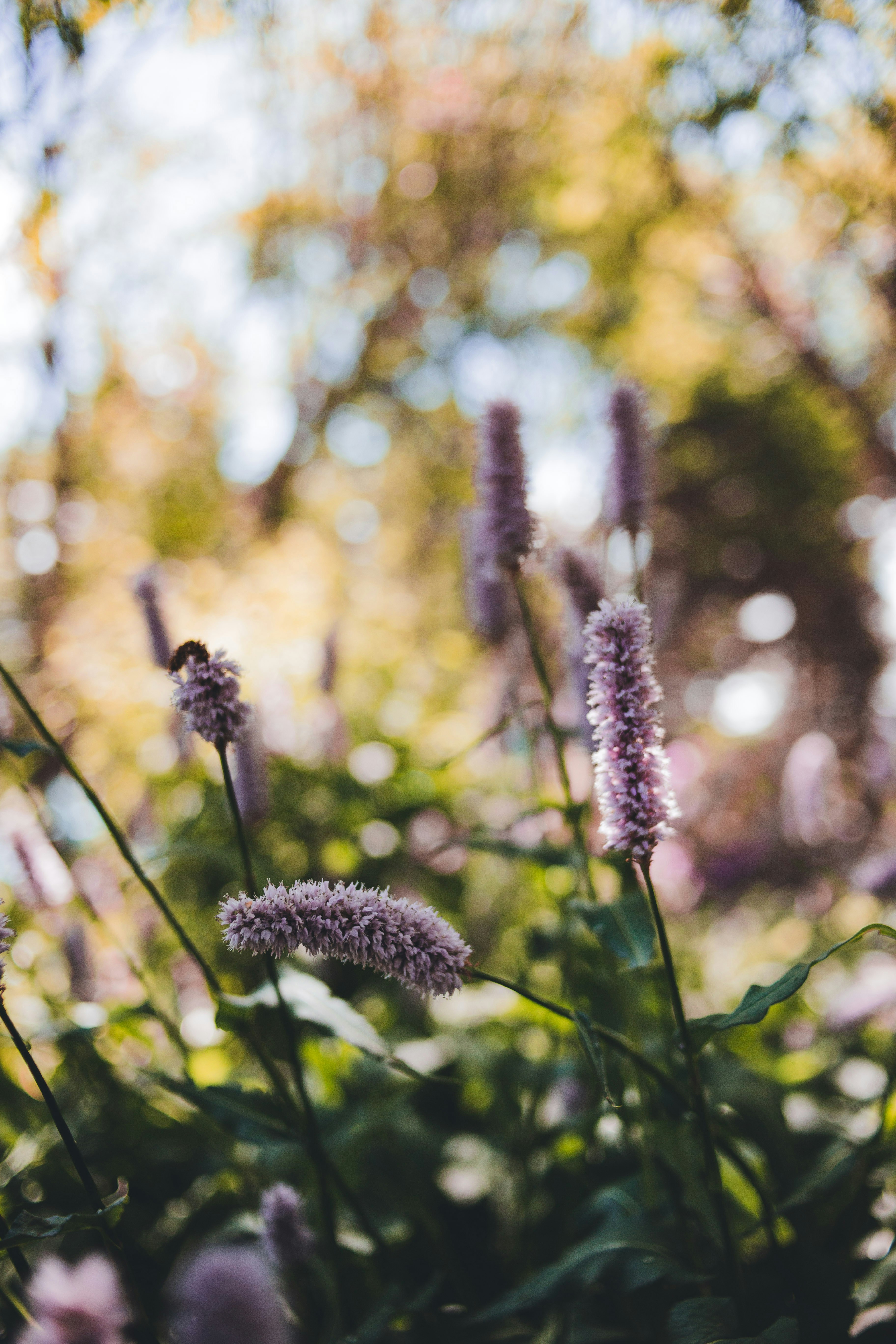 Photo by introspectivedsgn