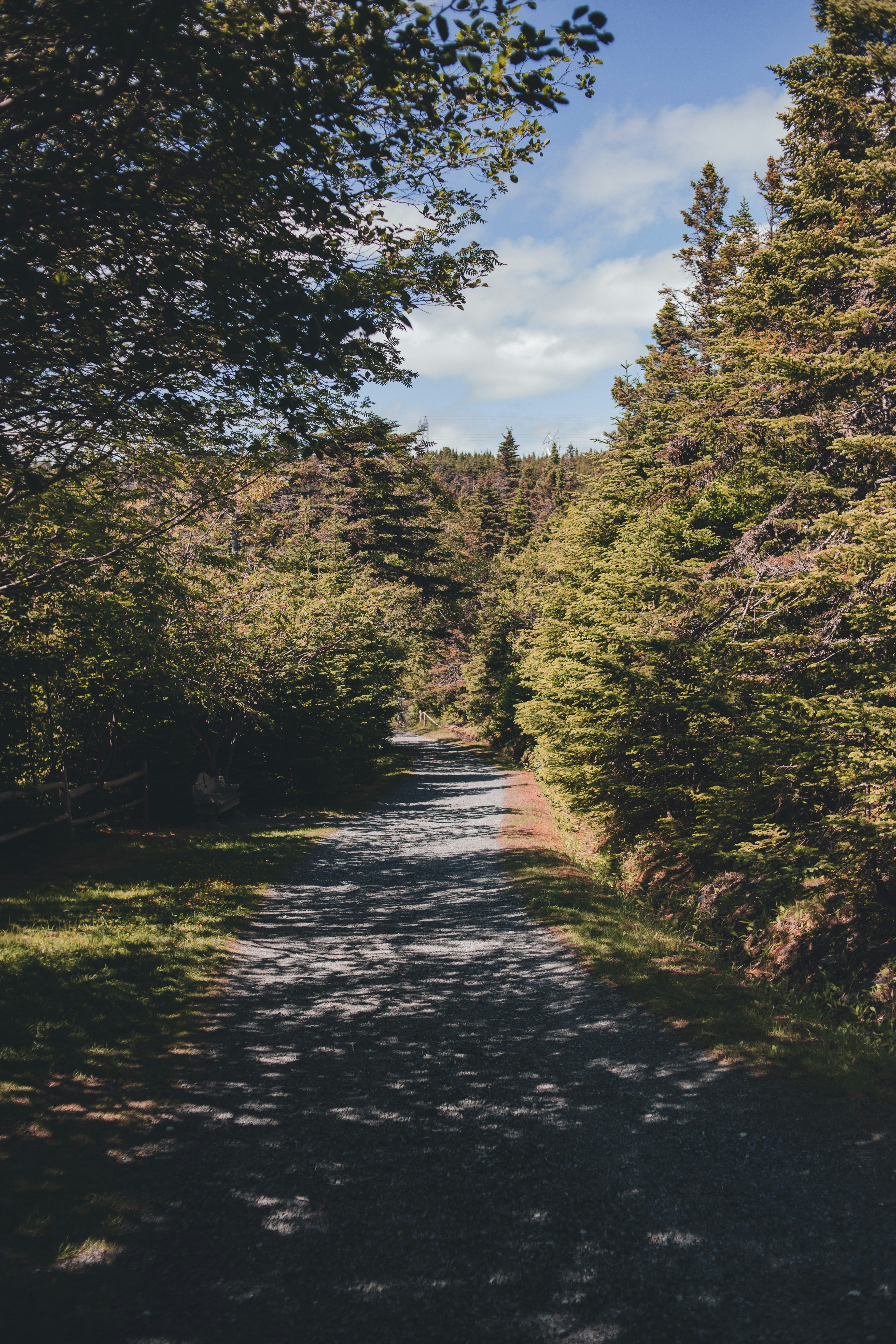 Photo by introspectivedsgn