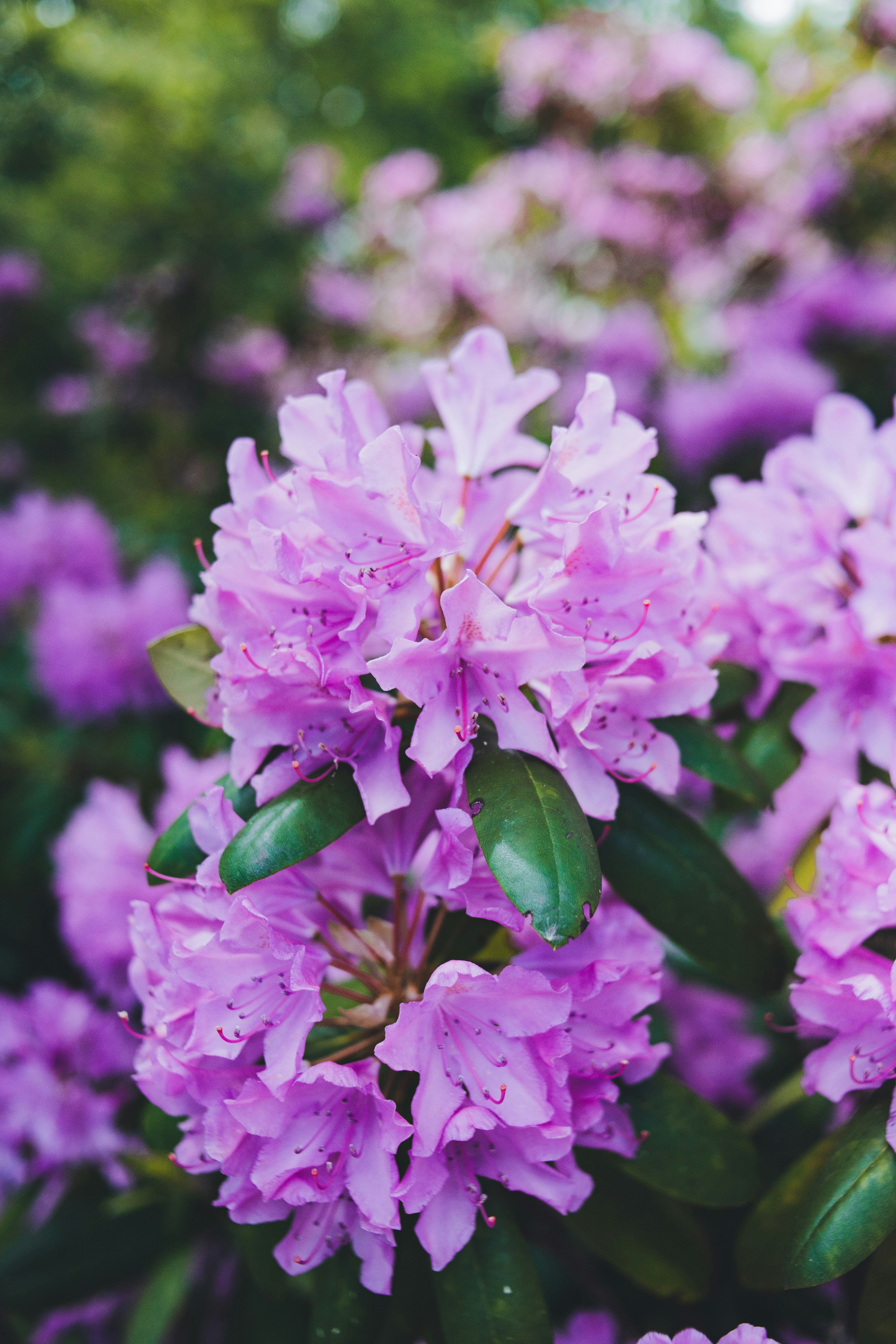 Photo by introspectivedsgn