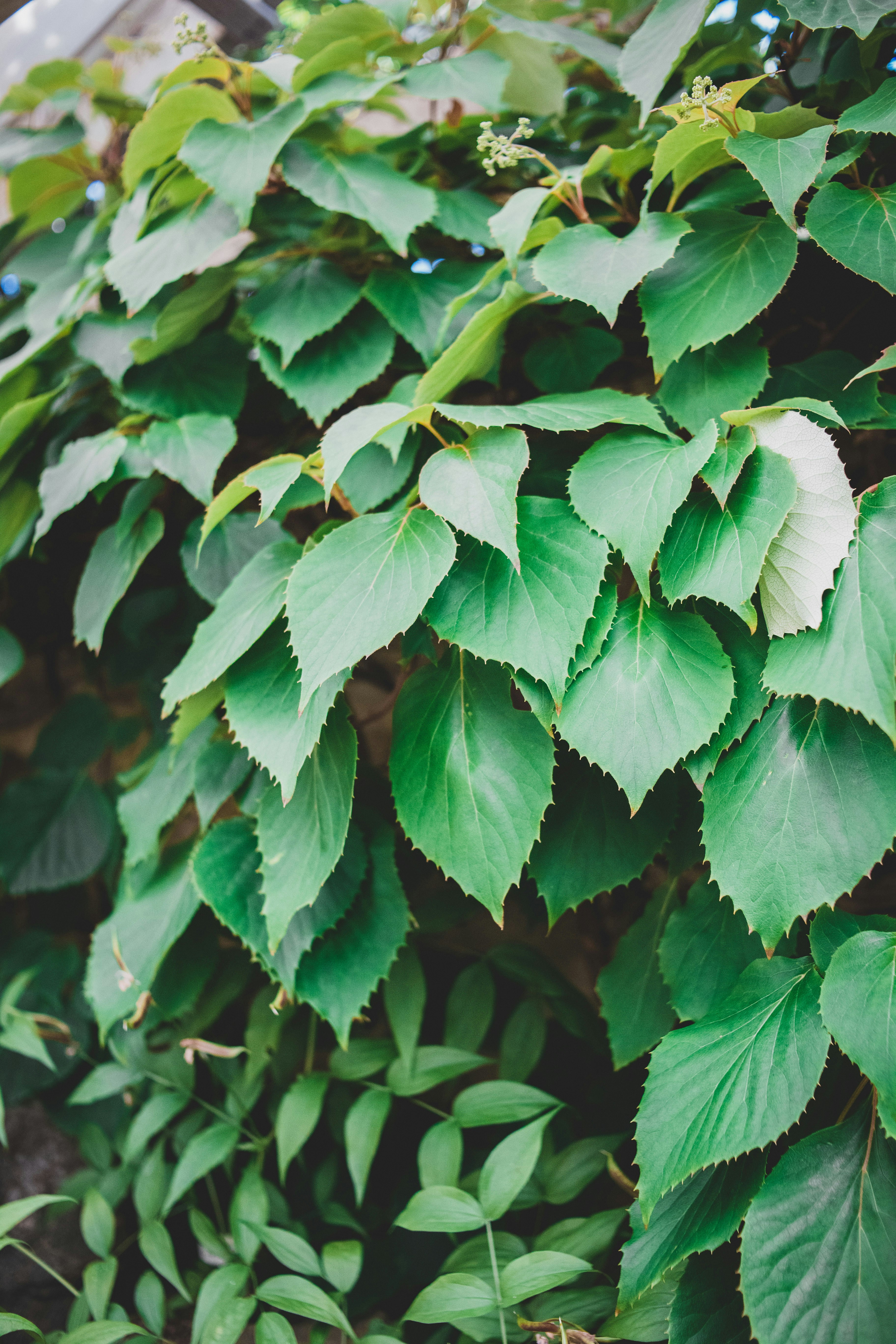 Photo by introspectivedsgn