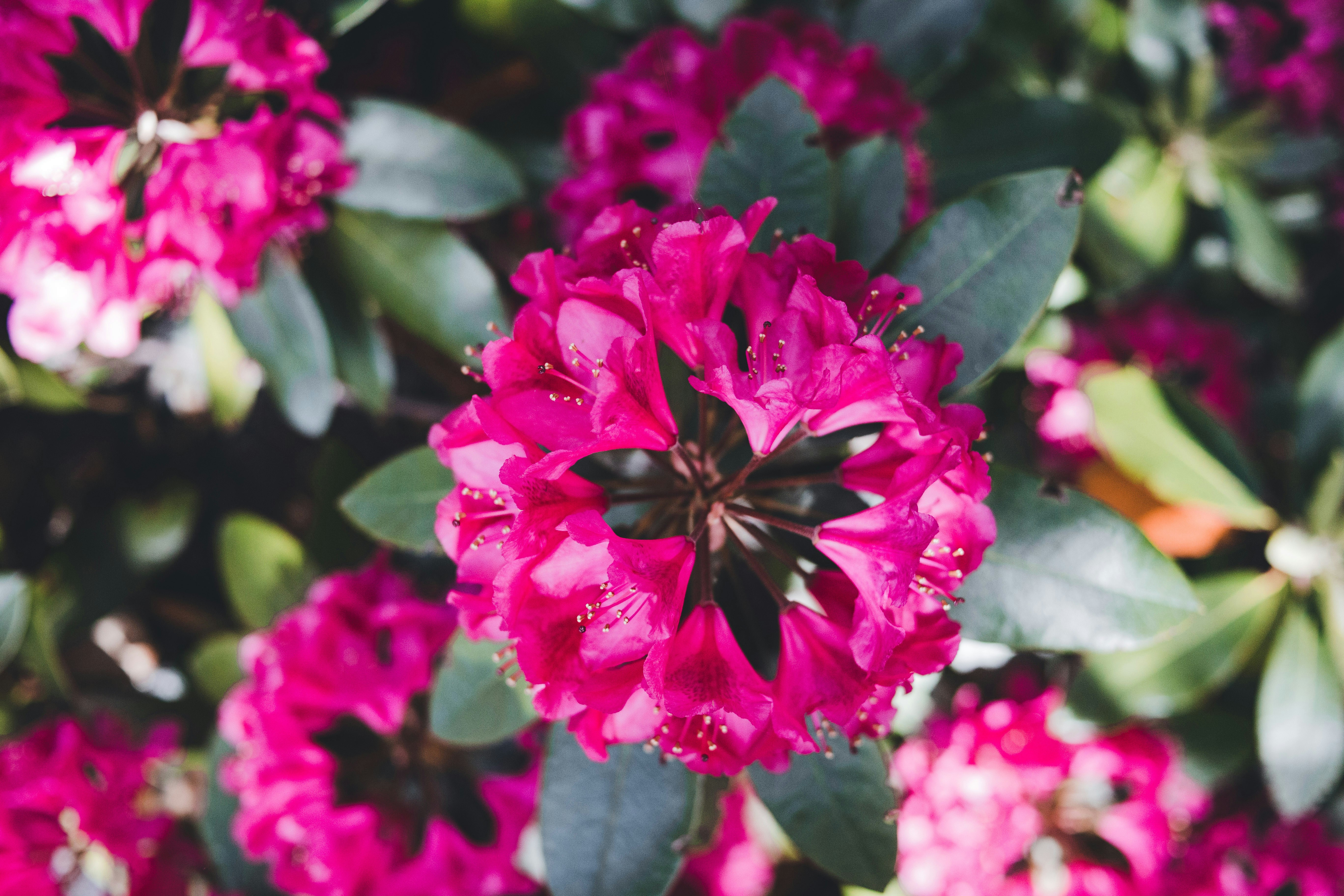 Photo by introspectivedsgn