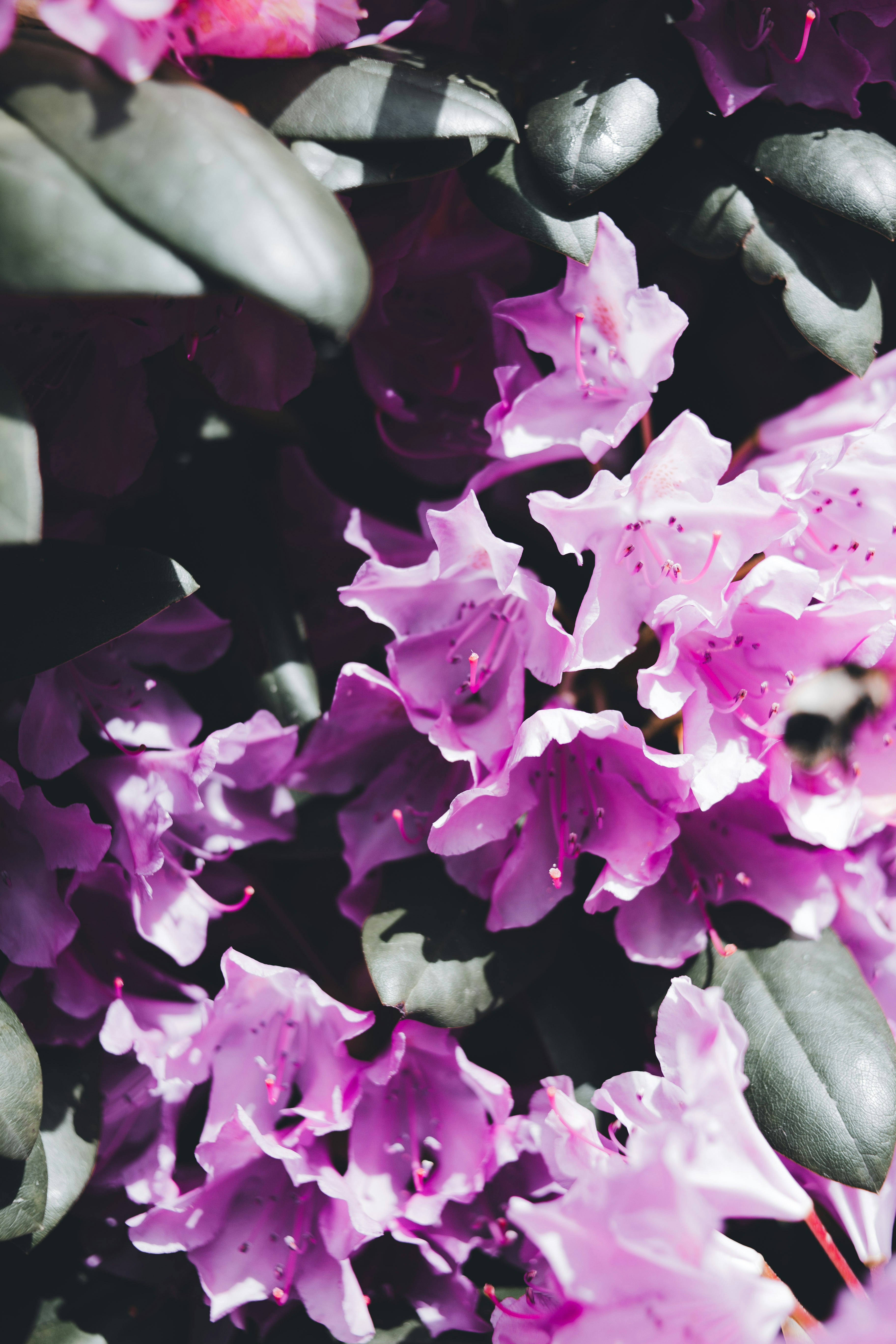 Photo by introspectivedsgn