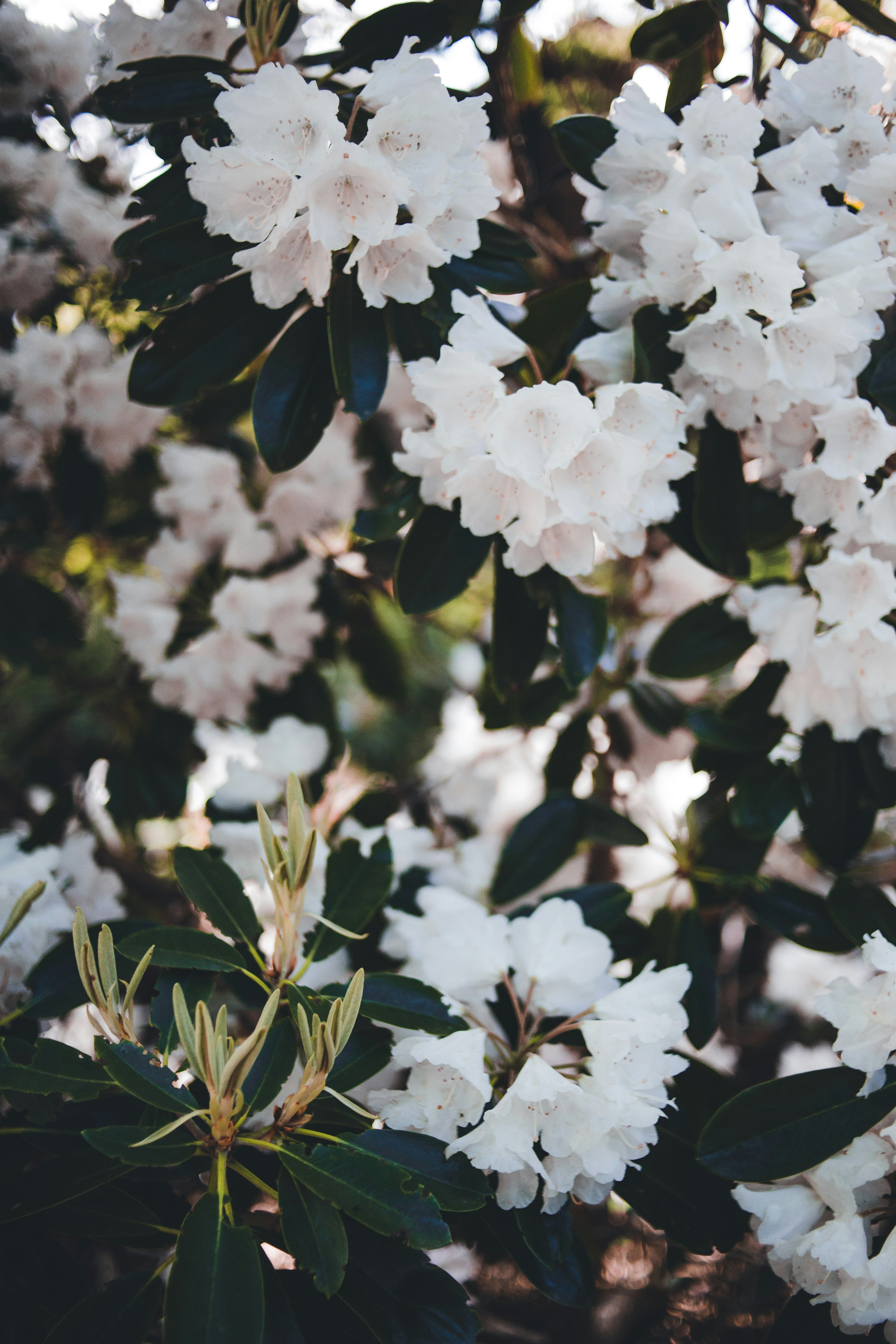 Photo by introspectivedsgn