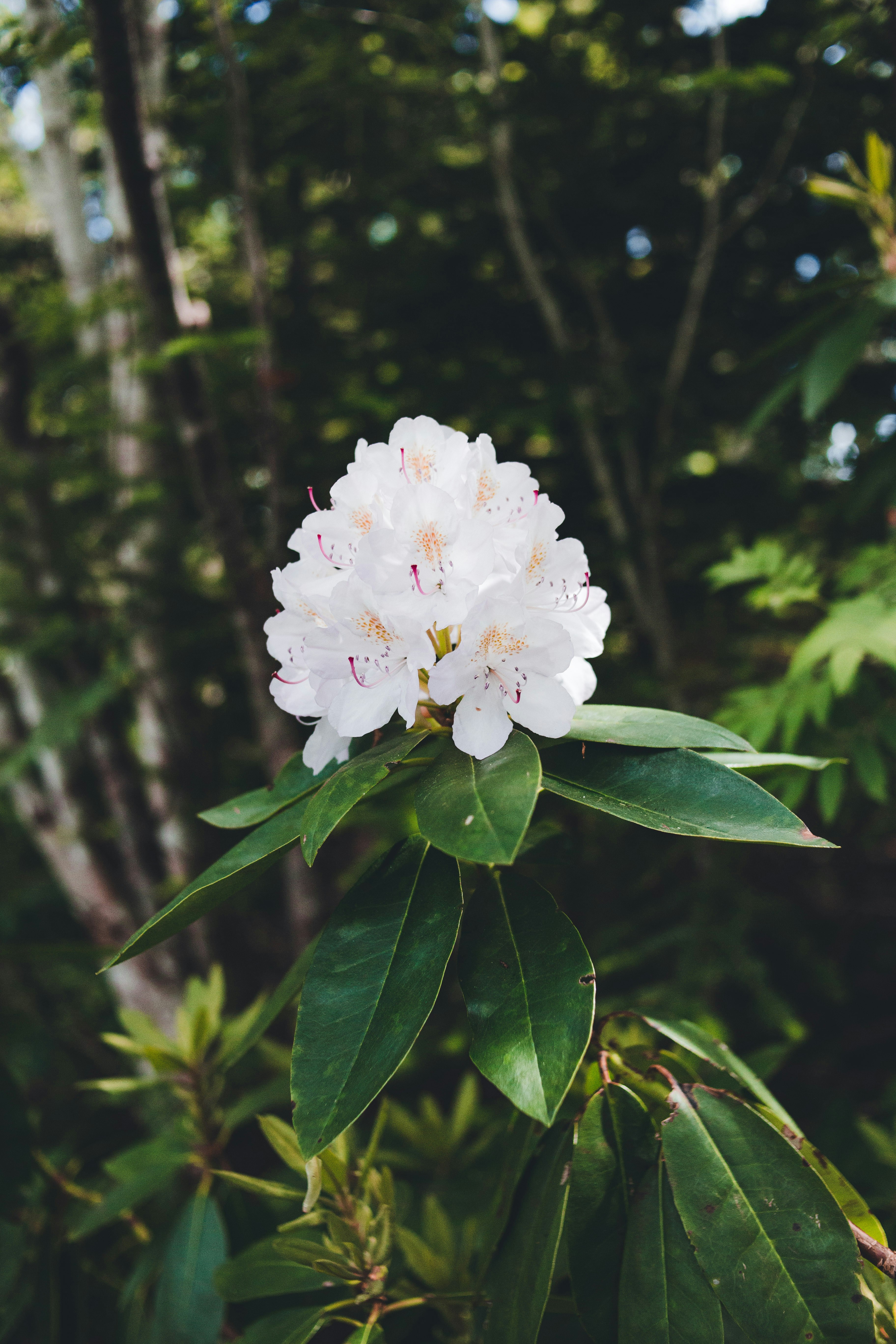 Photo by introspectivedsgn