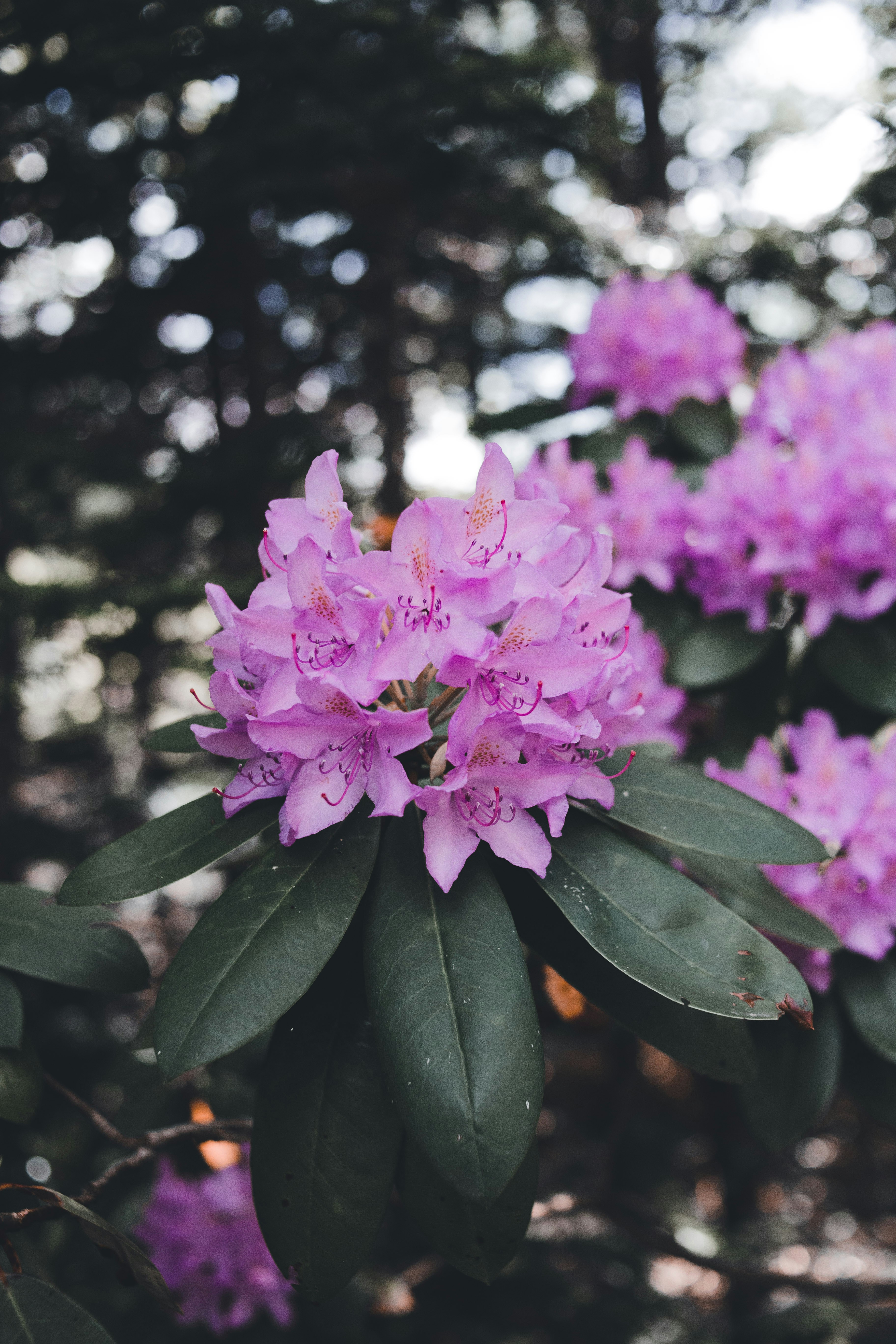 Photo by introspectivedsgn