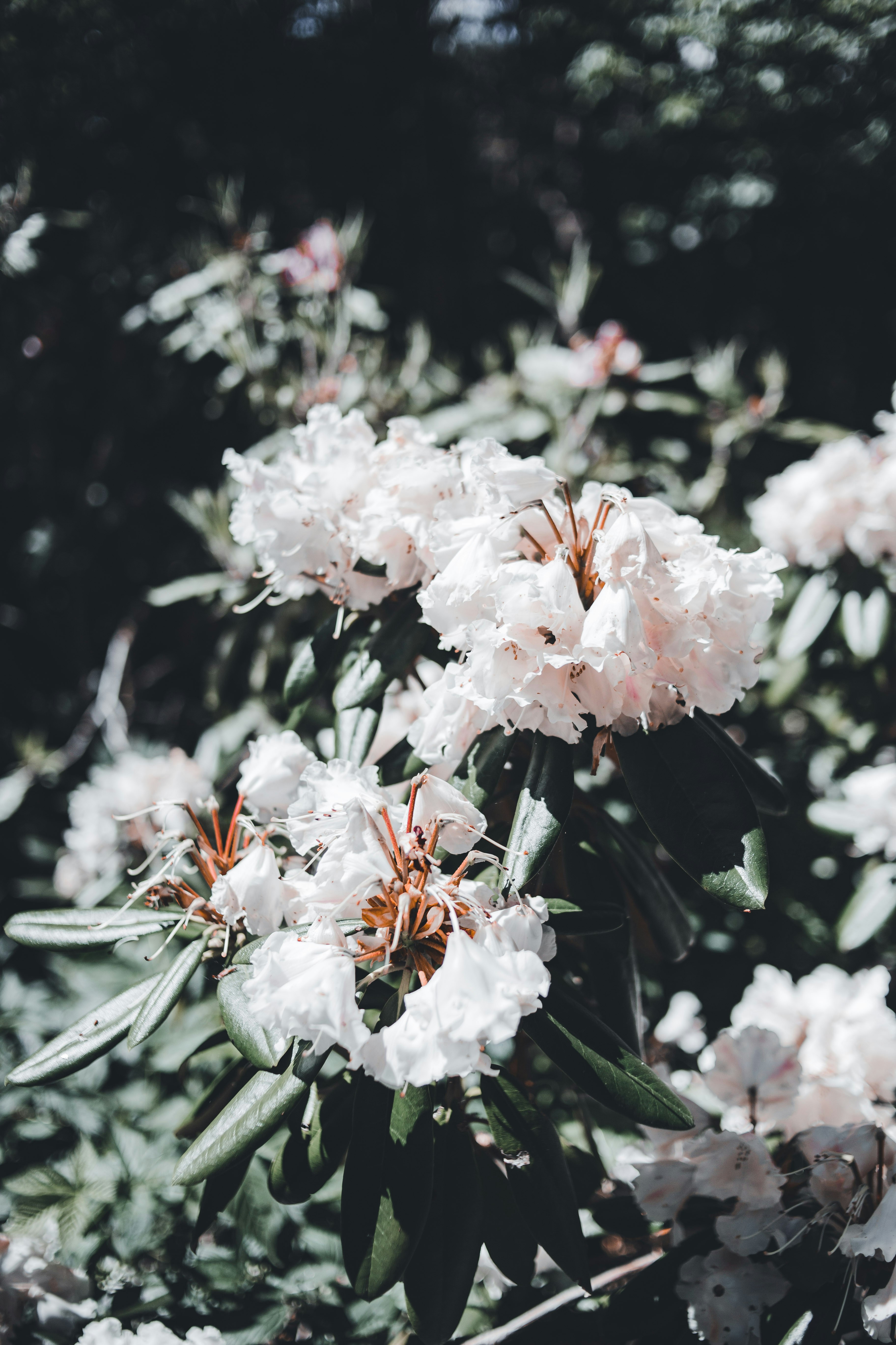 Photo by introspectivedsgn