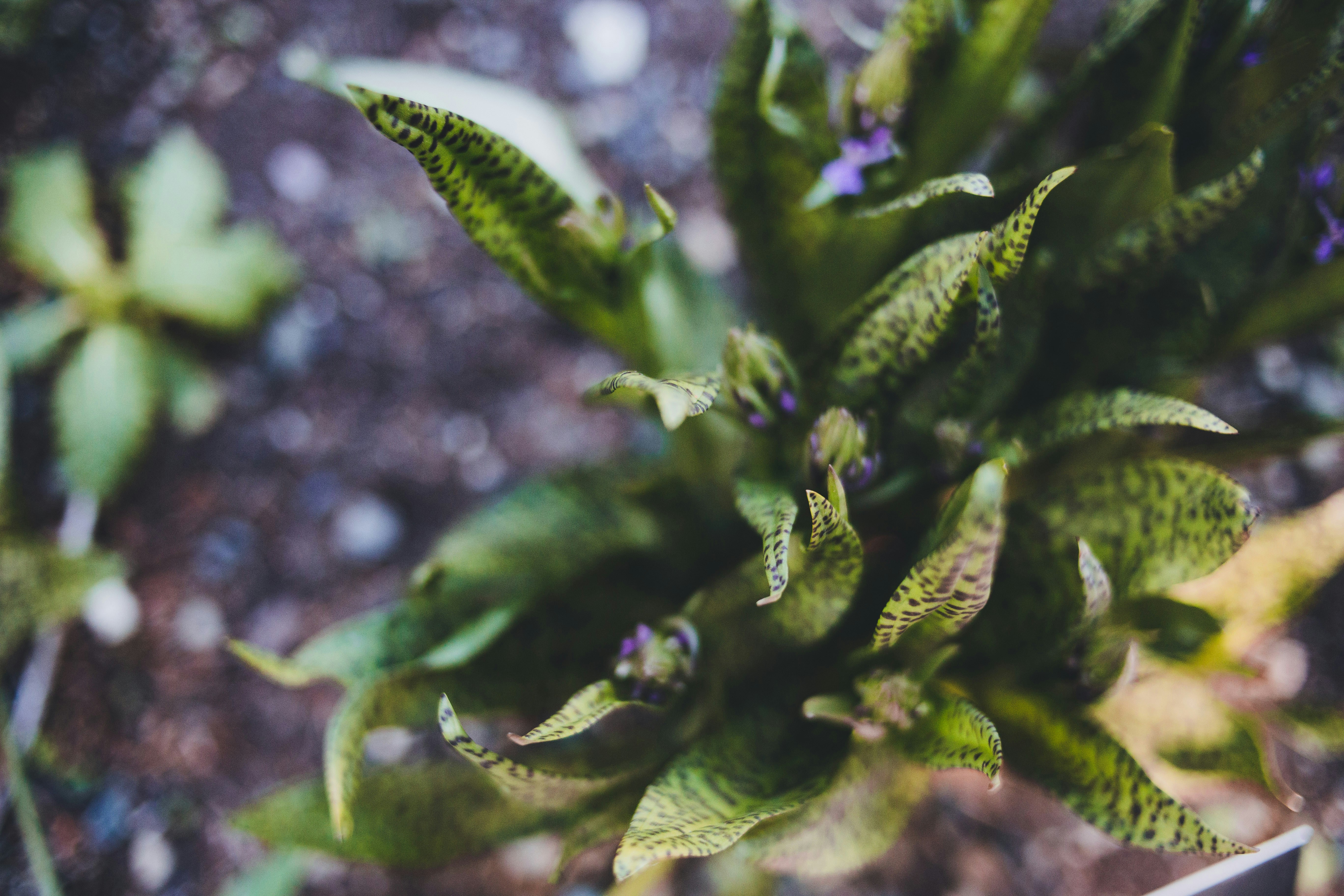 Photo by introspectivedsgn