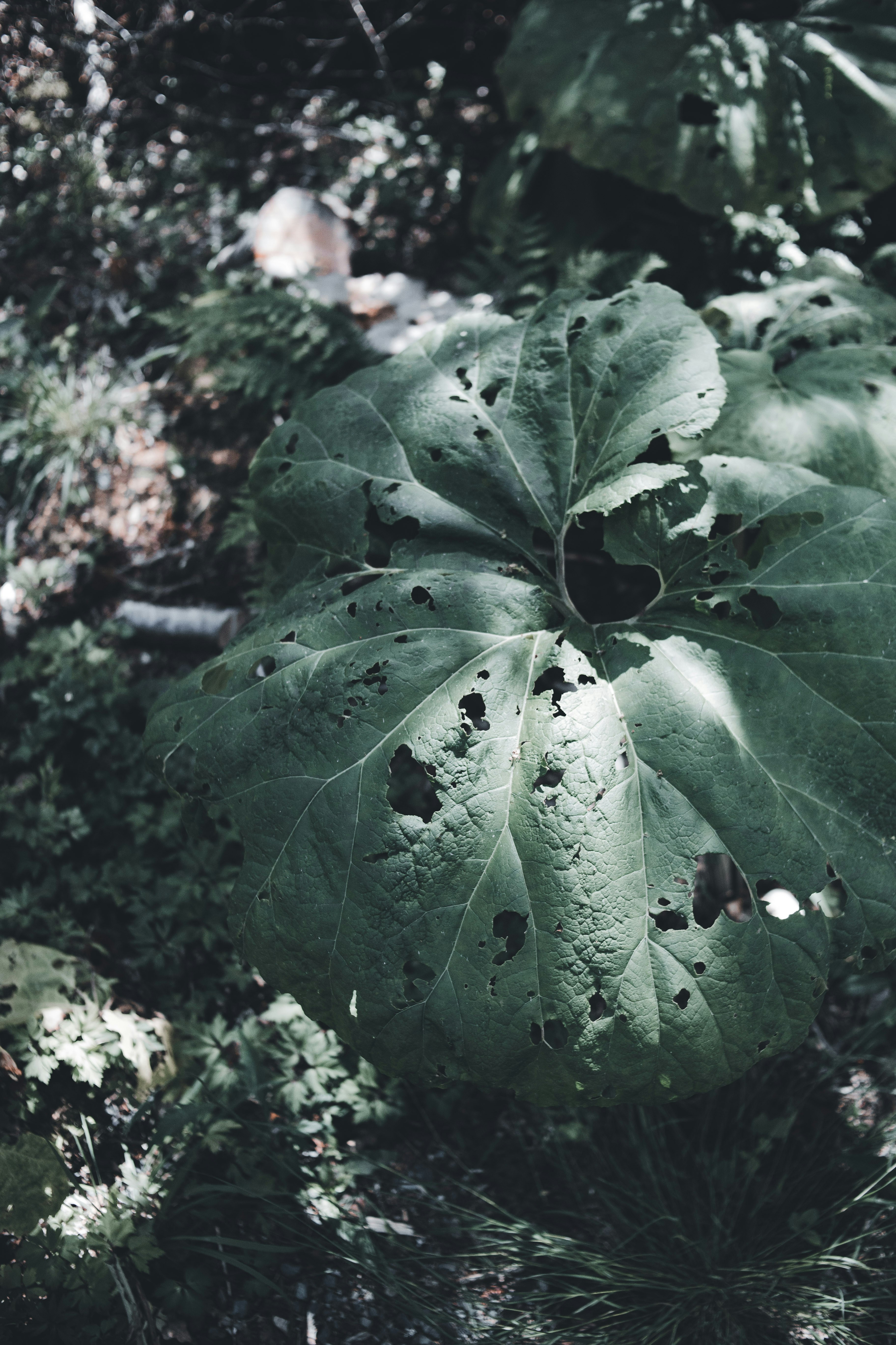 Photo by introspectivedsgn