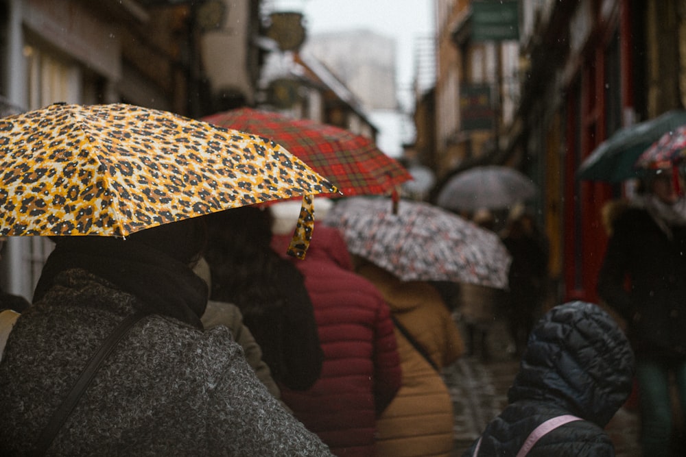 people with umbrellas in the rain