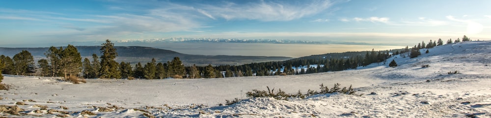 a landscape with snow and trees