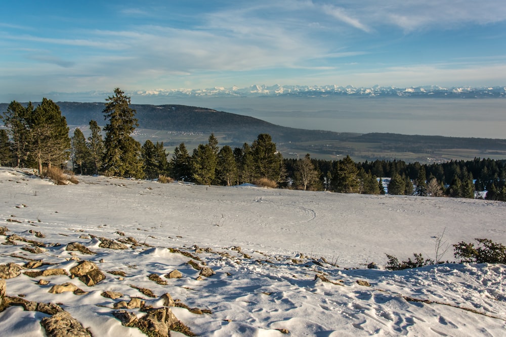 a snowy landscape with trees and mountains in the background