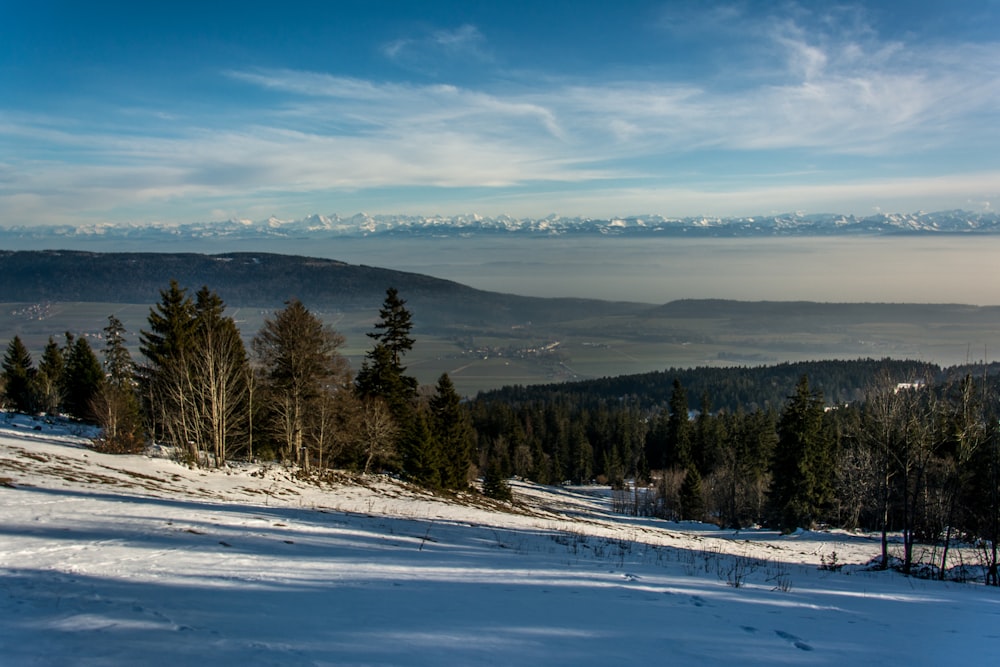 a snowy landscape with trees and mountains