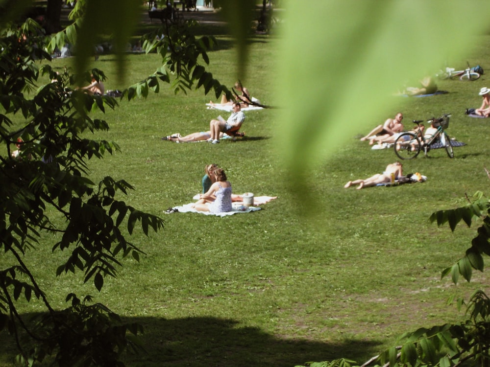 a group of people sitting on a blanket in a grassy area