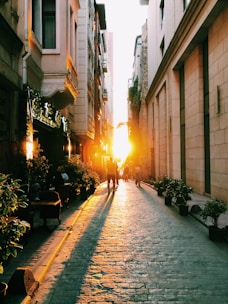 a person walking down a street lined with buildings and plants