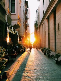 a person walking down a street lined with buildings and plants