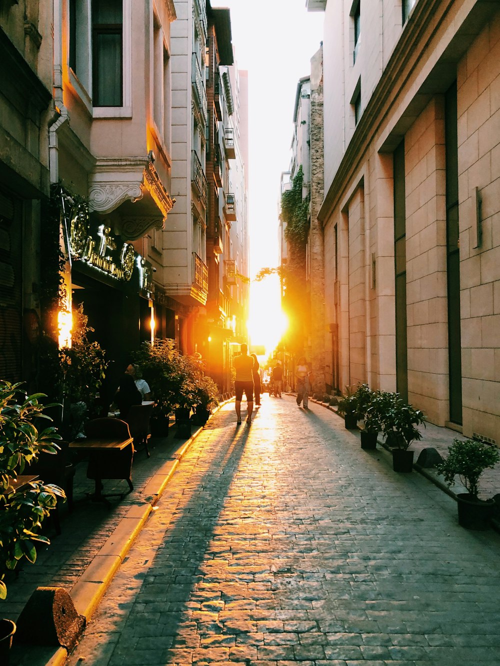 a person walking down a street lined with buildings and plants