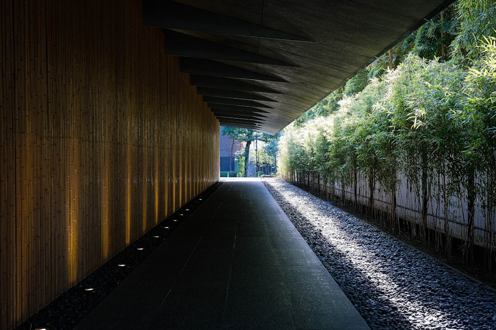 a train track with trees on the side