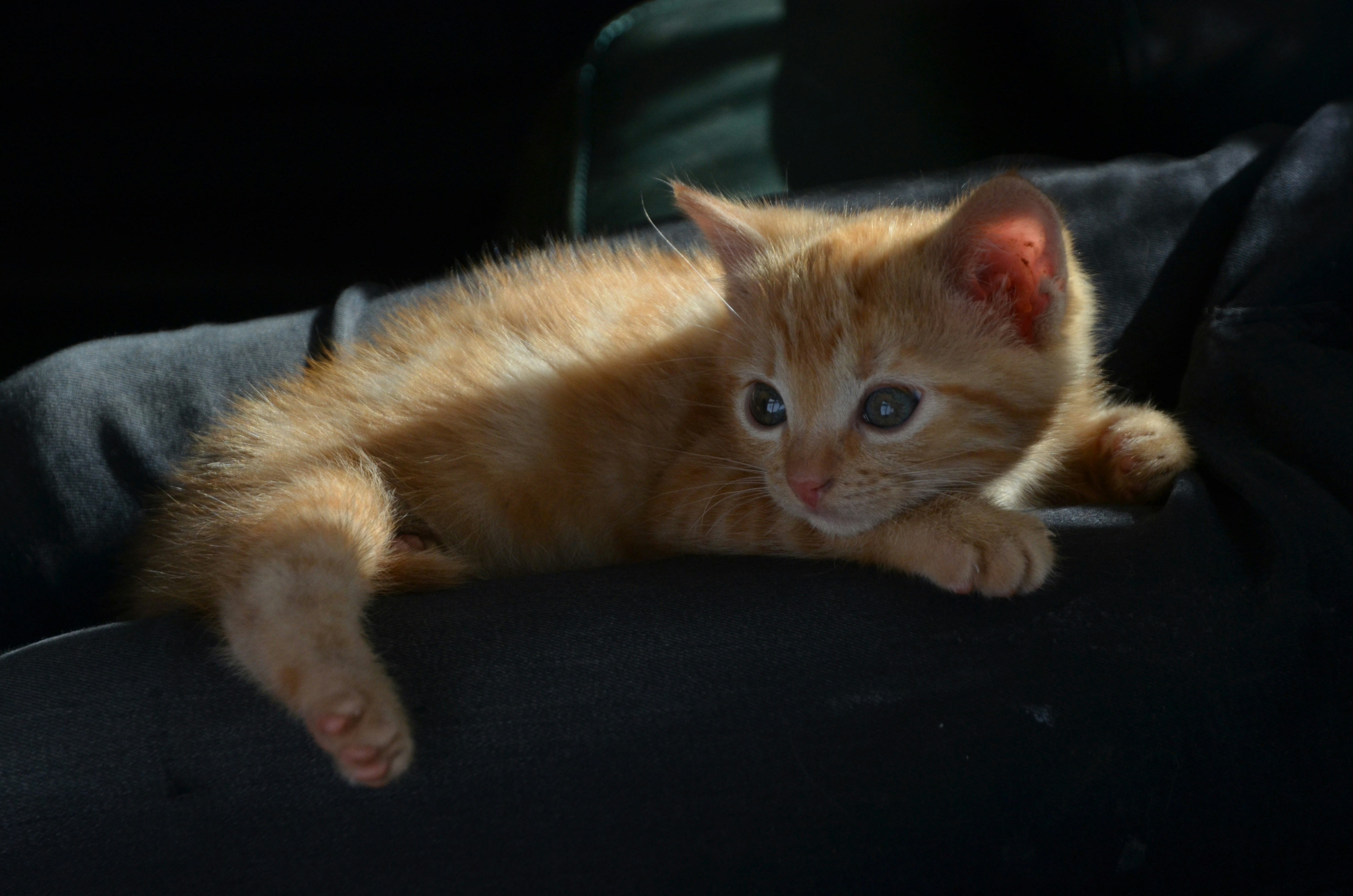 Photo by ashwinward18