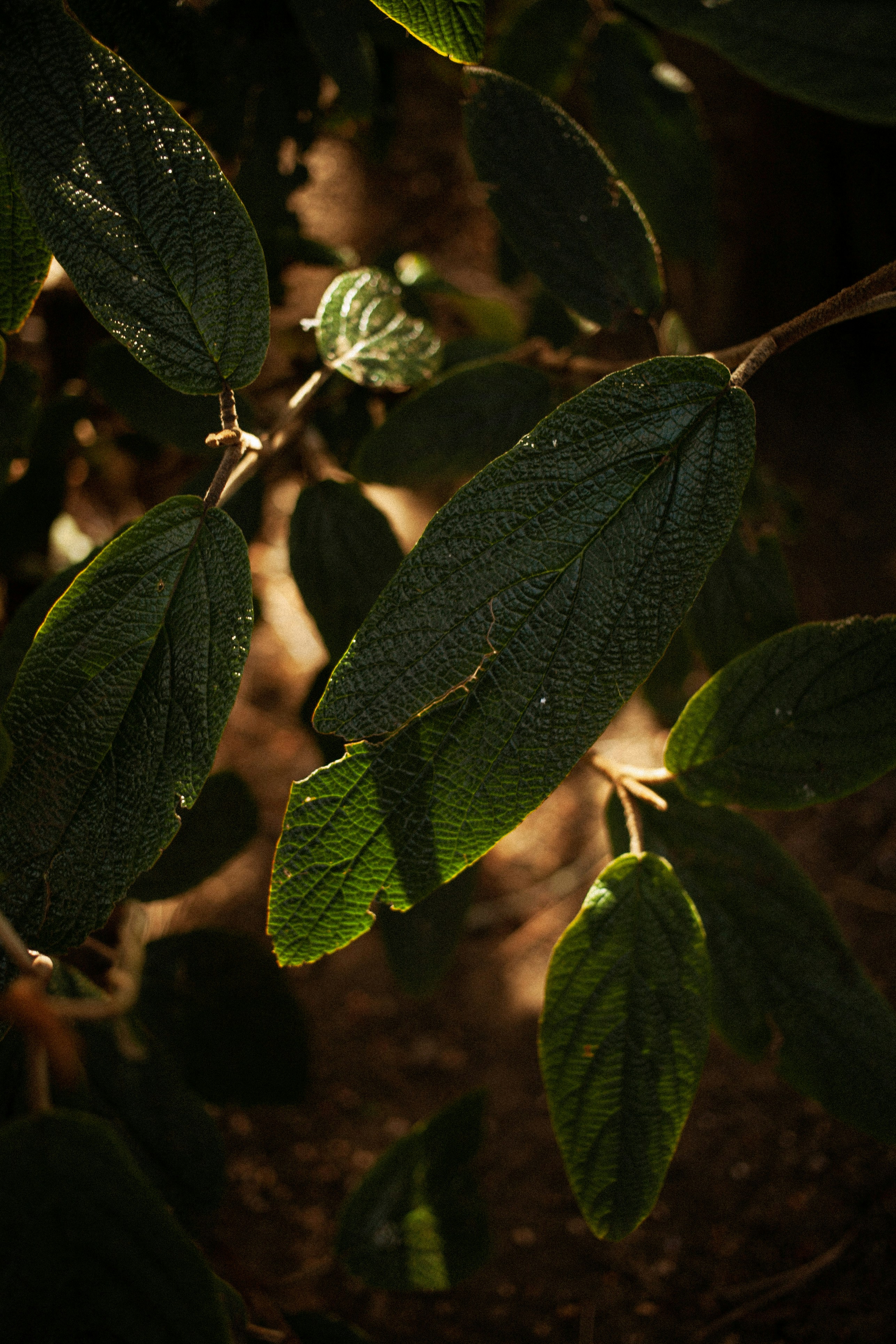 Photo by lanathegraves