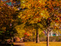 Best Walking Paths and Streets in Nashville to Explore on Foot