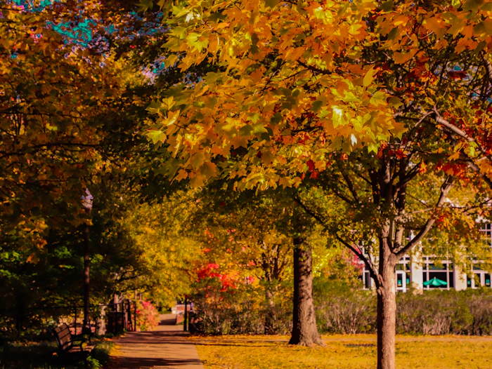 Best Walking Paths and Streets in Nashville to Explore on Foot