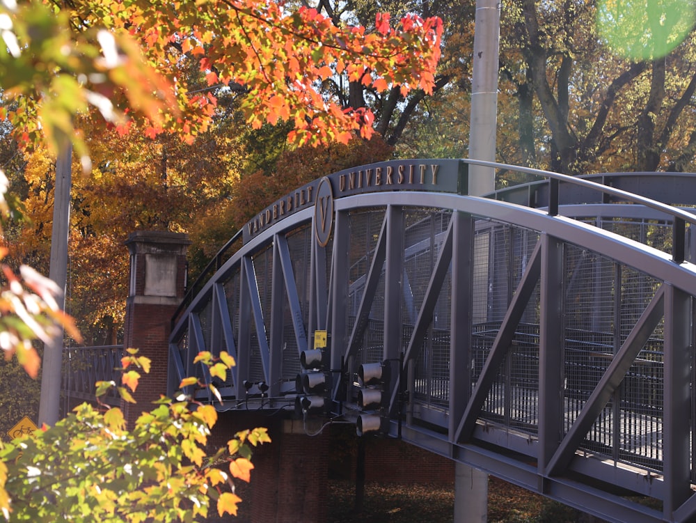 a bridge with trees on the side