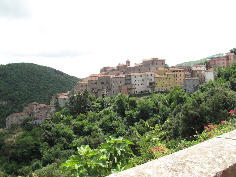 una collina con alberi ed edifici su di esso