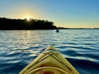 A serene scene of a kayaker gliding through the mangroves of Sarasota Bay at sunset.
