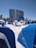 A beach scene with numerous blue beach cabanas and lounge chairs spread across the white sandy beach. A modern, curved high-rise building stands in the background, flanked by palm trees. The sky is clear and blue, creating a serene and inviting atmosphere.