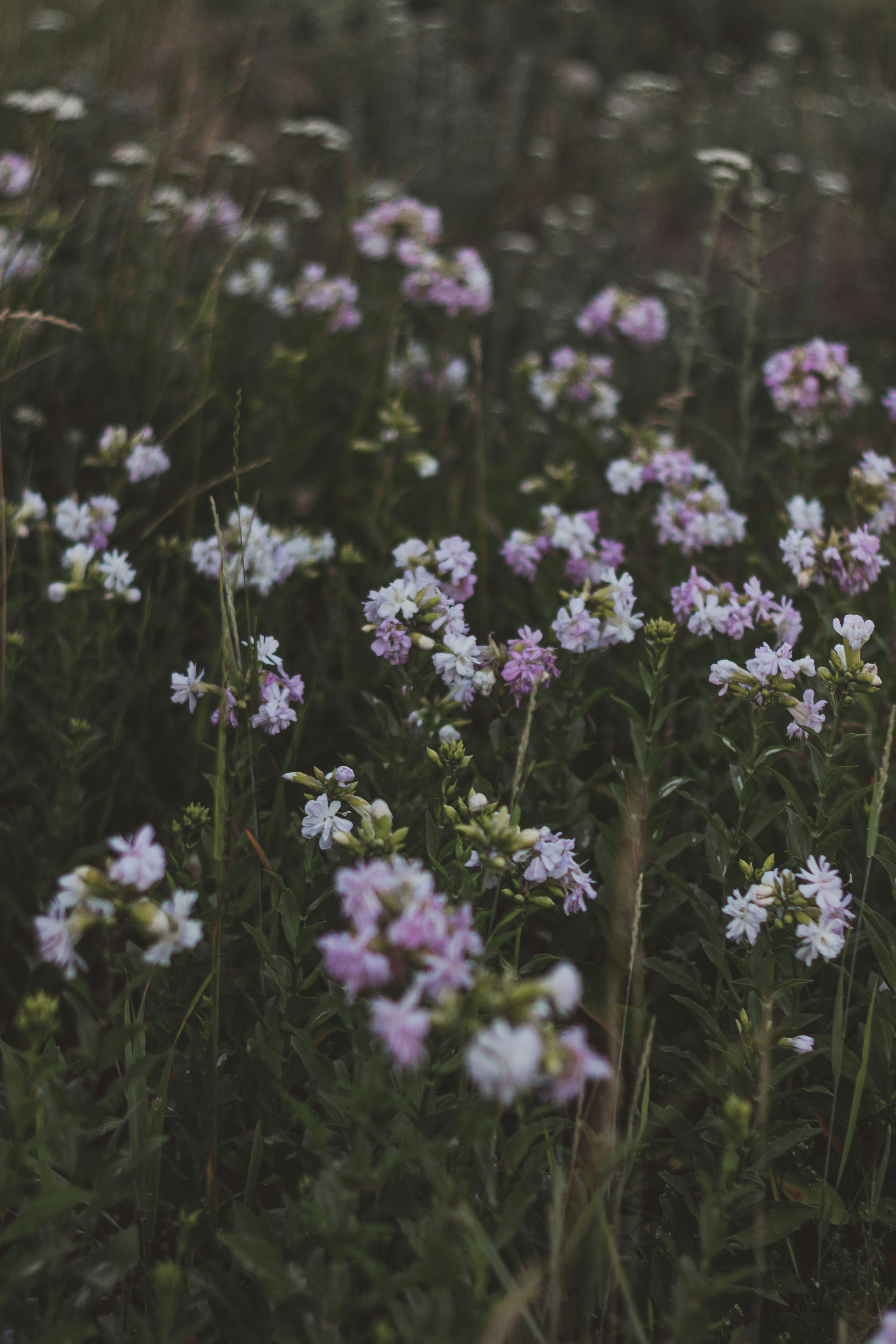 Photo by svitlana_rusak